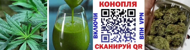 KRAKEN вход  Дыгулыбгей  Cannafood конопля 